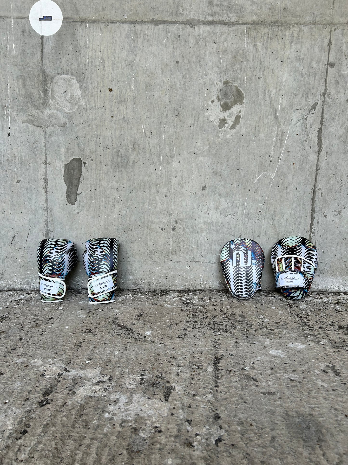 SPINAL BOXING GLOVES