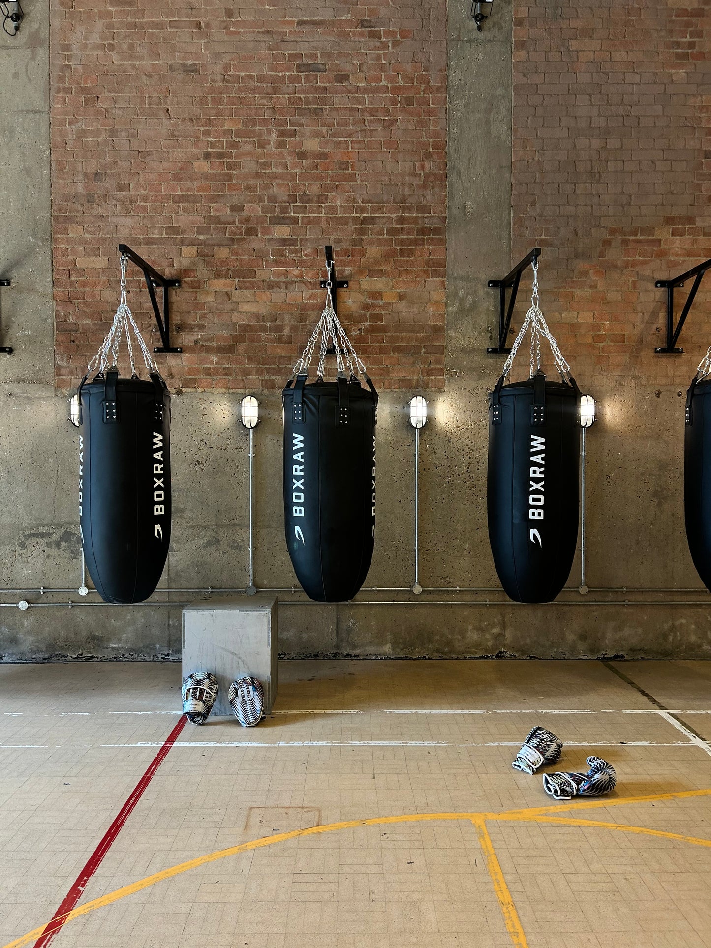 SPINAL FOCUS MITTS